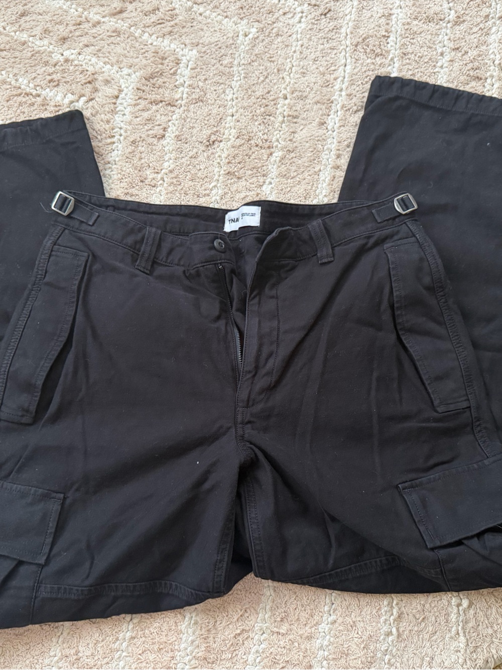 Aritzia Cargo Pants